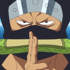 Photo One Piece