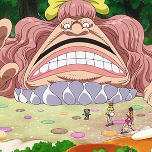 Photo One Piece