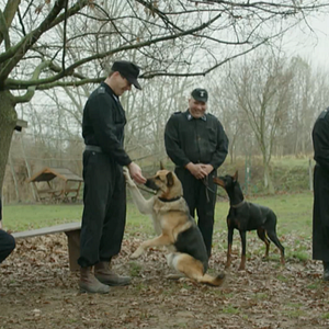 Photo Shepherd: The Story of a Jewish Dog
