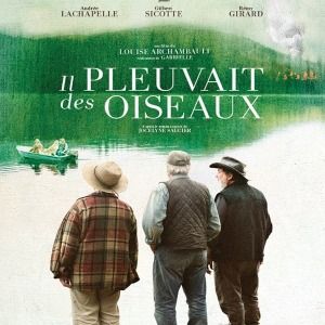 Photo Il Pleuvait Des Oiseaux