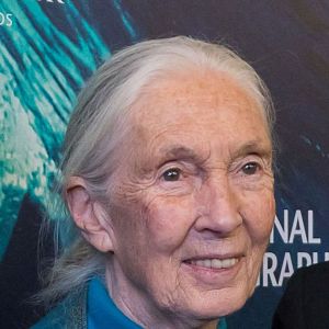Photo Jane Goodall