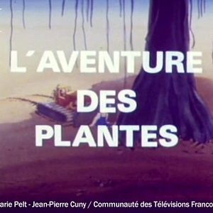 Photo L'Aventure des plantes