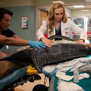 Photo Fiona Gubelmann