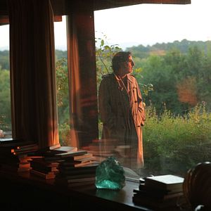 Photo Mon chien Stupide