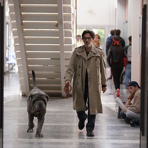 Photo Mon chien Stupide