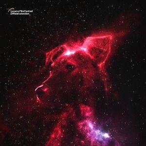 Photo Space Dogs