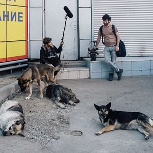 Photo Space Dogs