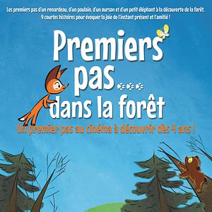 Photo Premiers pas dans la forêt