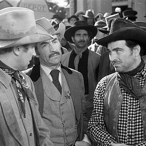 Photo Stephen McNally