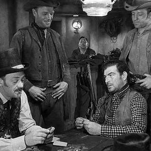 Photo Stephen McNally