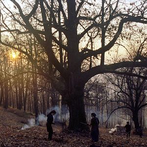 Photo Stories from the Chestnut Woods