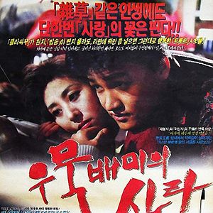 Photo A Short Love Affair