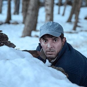 Photo Seules Les Bêtes