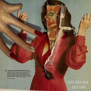 Photo In Fabric