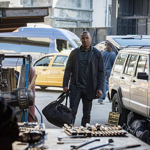 Photo David Ramsey