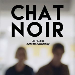 Photo Chat Noir