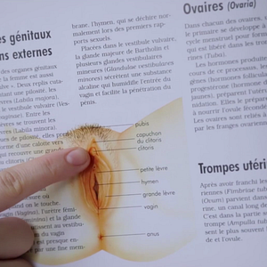 Photo Mon Nom est Clitoris