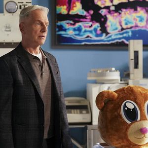 Photo Mark Harmon