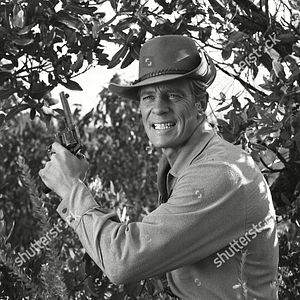 Photo Le Courrier du désert