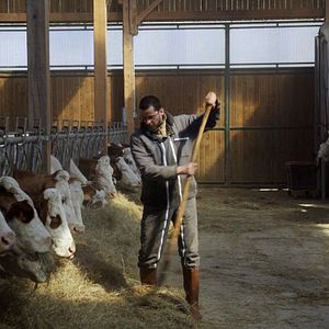 Photo Cyrille, agriculteur, 30 ans, 20 vaches, du lait, du beurre, des dettes