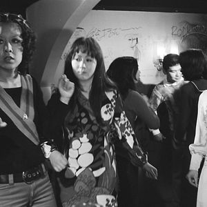 Photo Nuits félines à Shinjuku