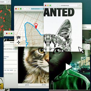 Photo Don't F**k With Cats : Un tueur trop viral