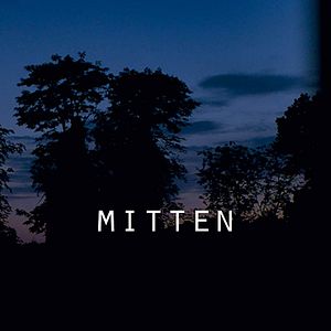 Photo Mitten
