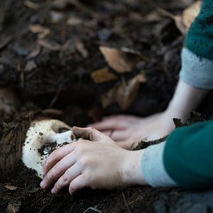 Photo The Boy : la malédiction de Brahms