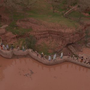 Photo The Great Green Wall