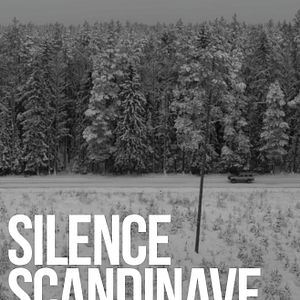 Photo Silence scandinave