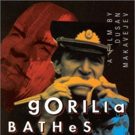 Photo Gorilla Bathes At Noon