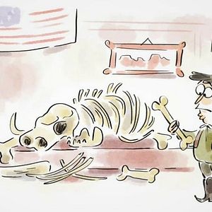 Photo Tu mourras moins bête