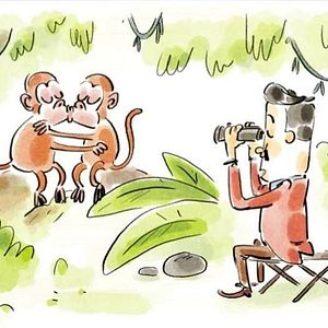 Photo Tu mourras moins bête