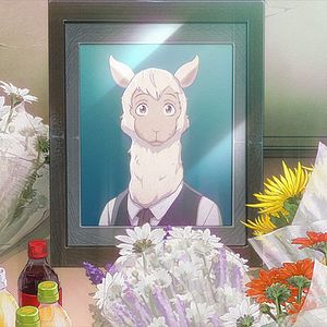 Photo BEASTARS