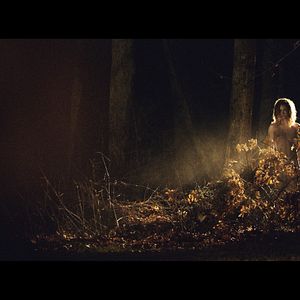 Photo The Rake