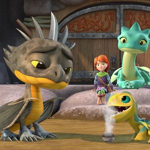 Photo Dragons : les gardiens du ciel