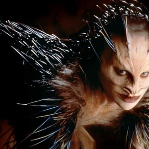 Photo Christine McCorkindale