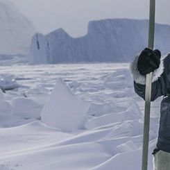 Photo Call Of The Ice