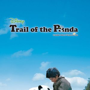 Photo Trail of the Panda