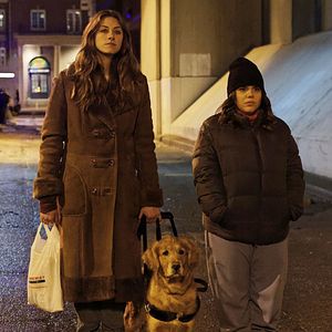 Photo In the Dark (2019)