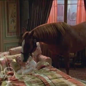 Photo La Vie de palace de Zack et Cody