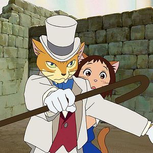 Photo Le Royaume des chats