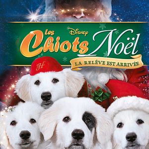 Photo Les Chiots Noël, la relève est arrivée