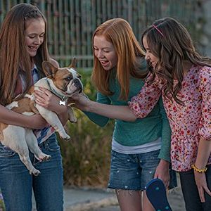 Photo La Magie en plus