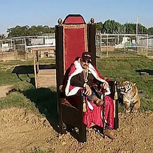 Photo Au royaume des fauves