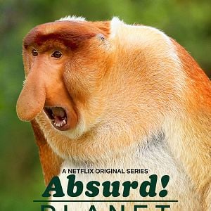 Photo Drôle de planète