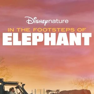 Photo Sur la route des éléphants