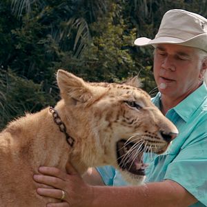 Photo Au royaume des fauves