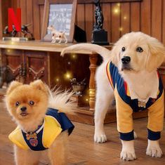 Photo Pup Academy : L'Ecole Secrète