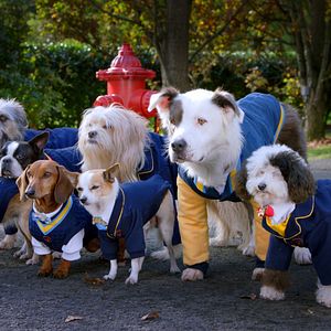 Photo Pup Academy : L'Ecole Secrète